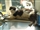 Why should I neuter my male cat?